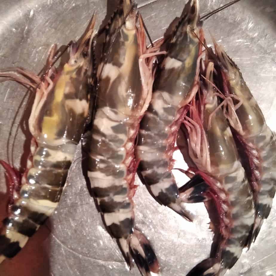 Udang Segar Grade A